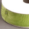 Organzaband Webkante hellgrün, 15mm, 6m Rolle