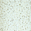 Rocailles white opaque, 2.6 mm, 17g