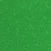 Enamel opaque, reed-green, 45g