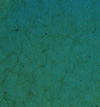 Enamel transparent, peacockgreen, 45g